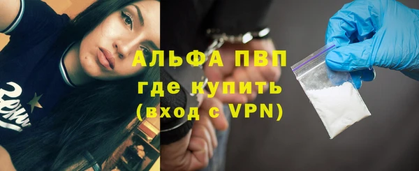 хмурый Вяземский