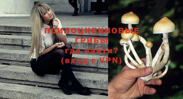 метадон Горняк