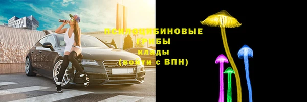 амф Вязьма