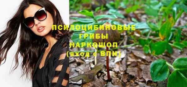 молекула духа Вязники
